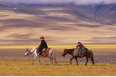China Osttibet, Pferde-Trekking um den Amnye Machen. Ideales Fortbewegungsmittel im tibetischen Hochland. Foto: Bruno Baumann. 